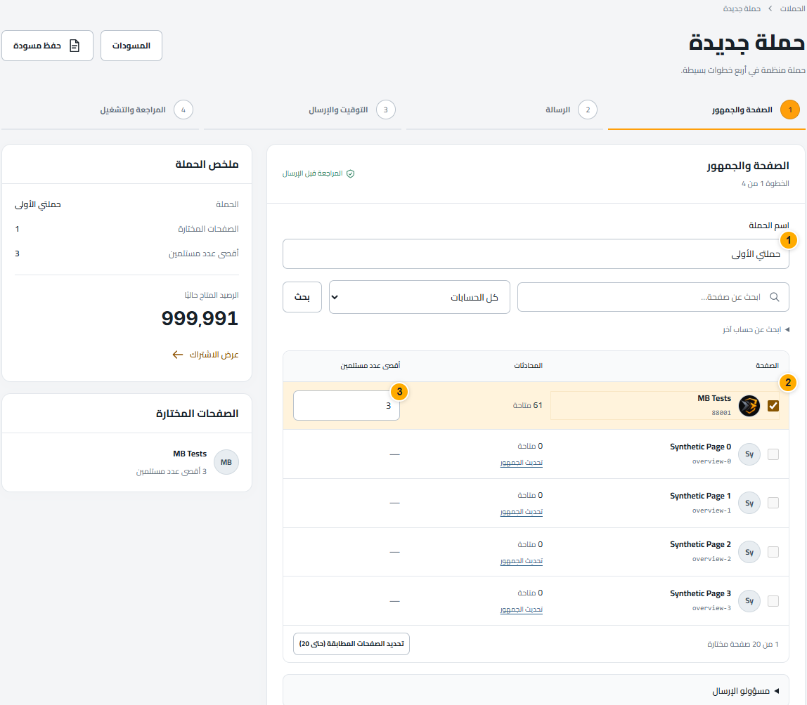 الصفحة والجمهور